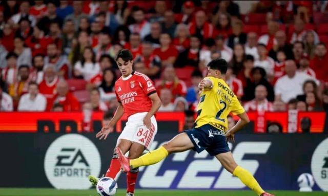 关于意甲倒计时，本菲卡赛前造点机会，细节引发关注，气氛紧张，球队文化再被提及的信息九游